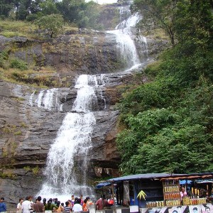 Kerala Tour Package 5 Nights 6 Days: Kerala in One Sweep