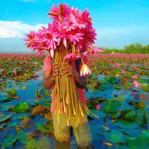 Kerala Tour Package 5 Nights 6 Days: Kerala in One Sweep