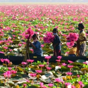 Kerala Tour Package 5 Nights 6 Days: Kerala in One Sweep