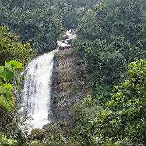 Kerala Tour Packages 4 Nights 5 Days