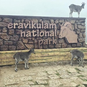 Kerala Tour Packages 4 Nights 5 Days