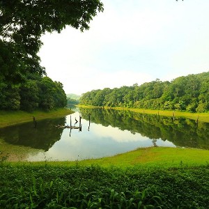 Kerala Tour Packages 4 Nights 5 Days