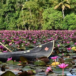 Kerala Tour Packages 4 Nights 5 Days