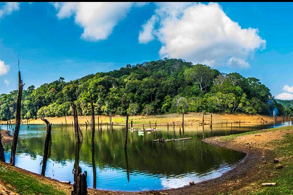 Kerala Trip Couple Package: 5-Day Cochin to Alleppey Tour — photo 2