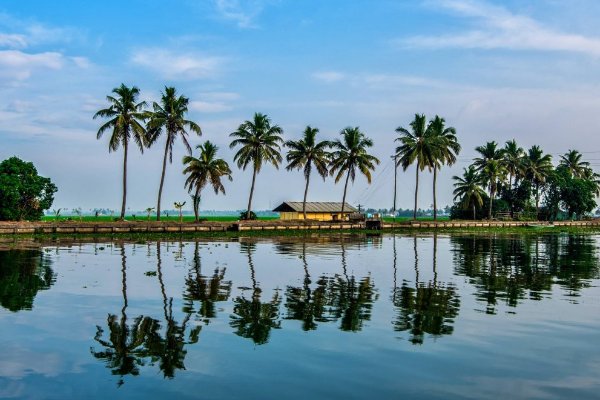 Kerala Trip Couple Package: 5-Day Cochin to Alleppey Tour — photo 3