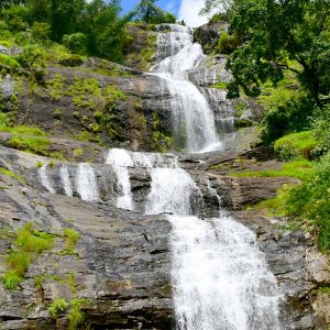 Kerala Trip Couple Package: 5-Day Cochin to Alleppey Tour