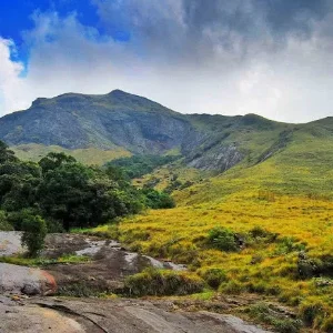 Kerala Trip Couple Package: 5-Day Cochin to Alleppey Tour