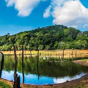 Kerala Trip Couple Package: 5-Day Cochin to Alleppey Tour