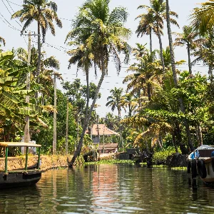 Kerala Trip Couple Package: 5-Day Cochin to Alleppey Tour