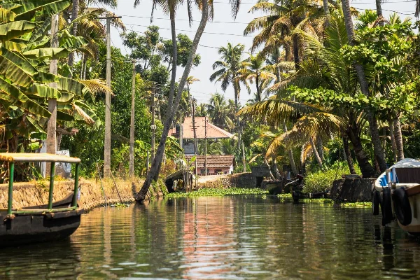Kerala Trip Plan for 5 Days: Fun-Filled Family Getaway — photo 2