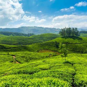 Kerala Trip Plan for 5 Days: Fun-Filled Family Getaway