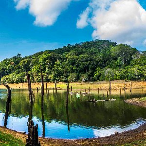 Kerala Trip Plan for 5 Days: Fun-Filled Family Getaway
