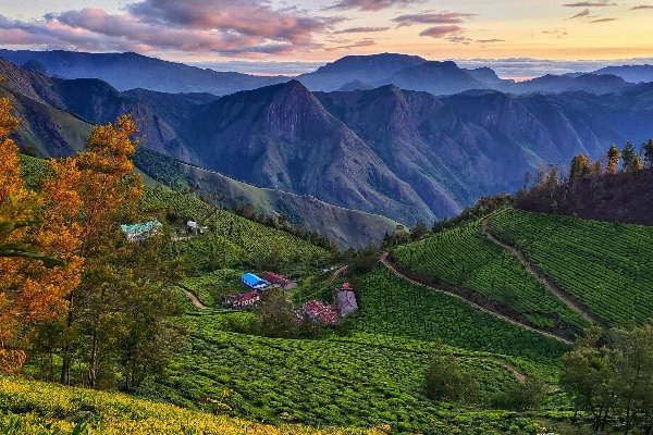 Kerala Vacation Packages: A 6-Day Romantic Escape for Couples — photo 1