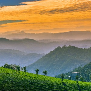 Kerala Vacation Packages: A 6-Day Romantic Escape for Couples