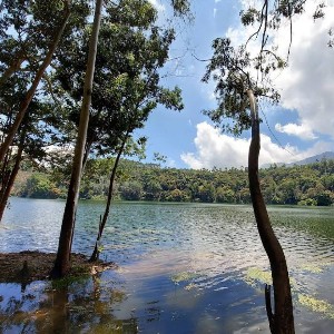 Kerala Vacation Packages: A 6-Day Romantic Escape for Couples
