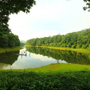 Kerala Vacation Packages: A 6-Day Romantic Escape for Couples