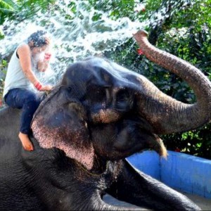 Kerala Vacation Packages: A 6-Day Romantic Escape for Couples