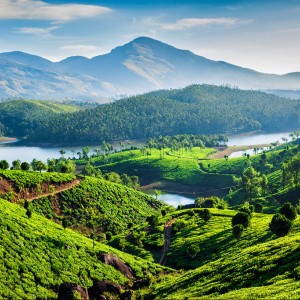 Kerala Vacation Packages: A 6-Day Romantic Escape for Couples