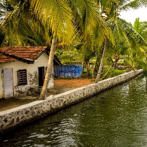 Kerala Vacation Packages: A 6-Day Romantic Escape for Couples