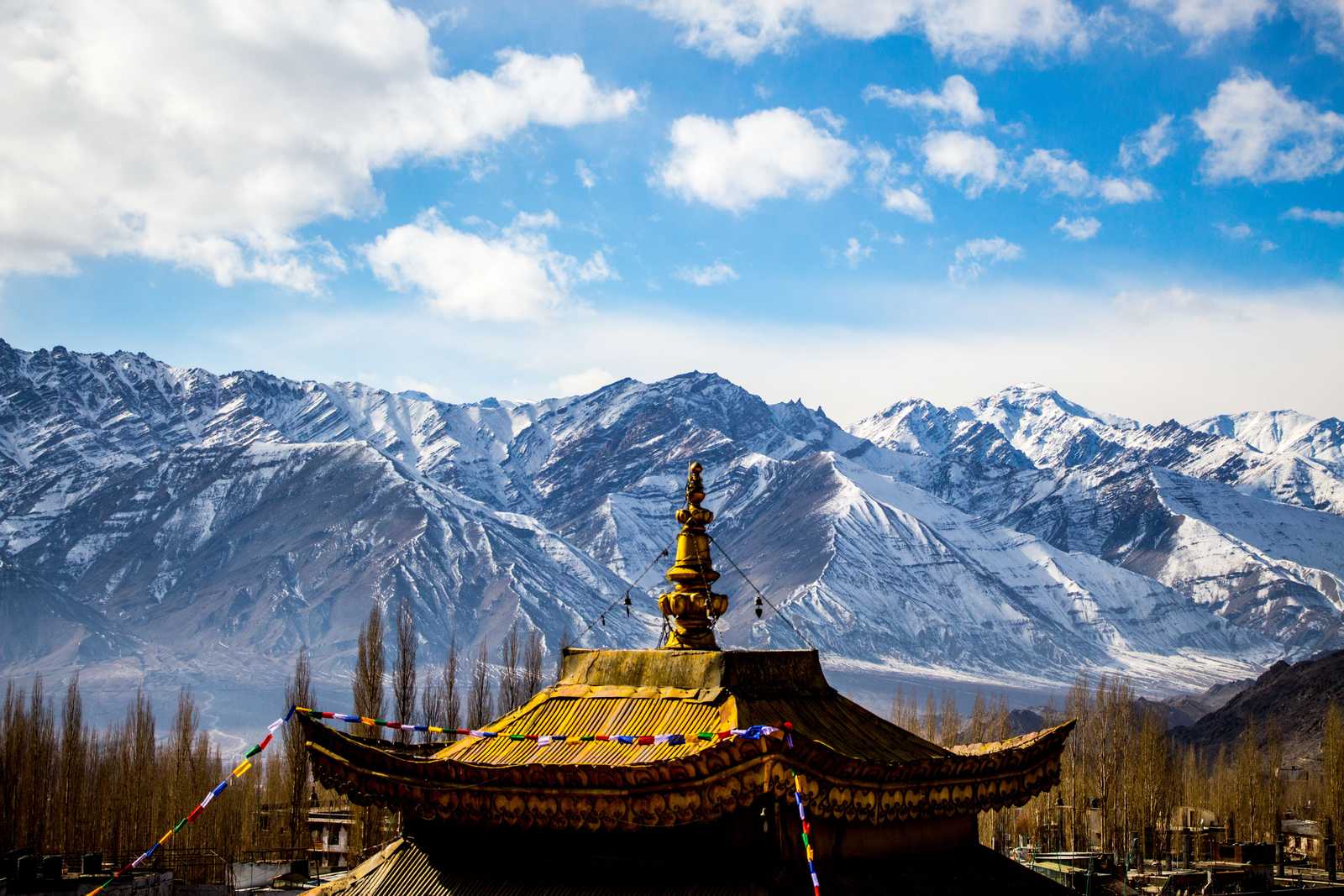 Ladakh Discovery: Journey Through the Land of High Passes