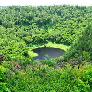 Mauritius Family Holiday Package: 6 Days of Island Fun & Adventure