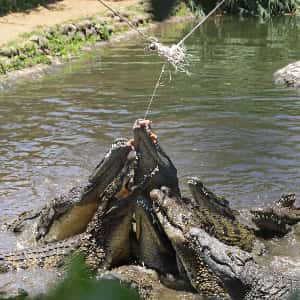 Mauritius Honeymoon Tours: 5-Day Romantic Escape