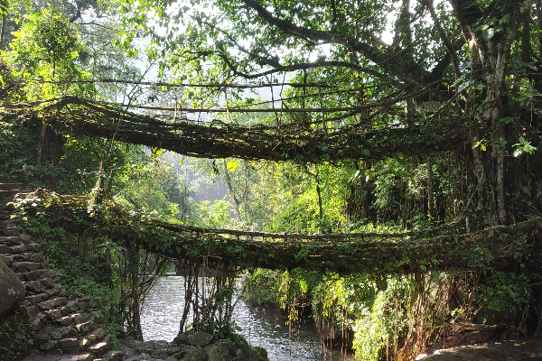 Meghalaya Tour Packages – Rainy Roads & Mountain Views — photo 1