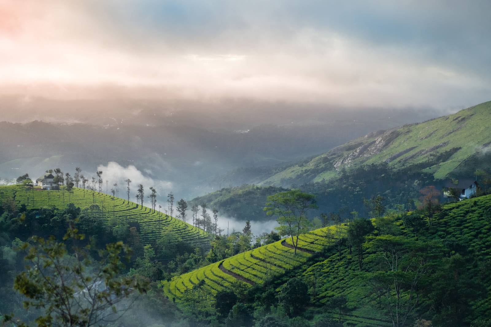Munnar Tour: A Scenic Escape into Kerala’s Green Paradise