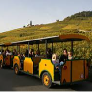 Paris & Switzerland Tour Package: A Perfect Europe Break