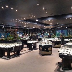 Pattaya And Bangkok: Thailand Couple Holiday Package