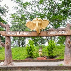 Perfect Kerala Trip Package for Family: A Delightful Blend of Mysore, Coorg, Ooty, and Coonoor