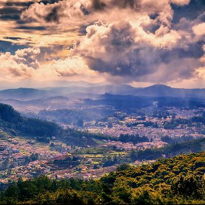 Perfect Kerala Trip Package for Family: A Delightful Blend of Mysore, Coorg, Ooty, and Coonoor