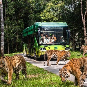 Phu Quoc Honeymoon Couple tour Packages