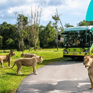 Phu Quoc Honeymoon Couple tour Packages