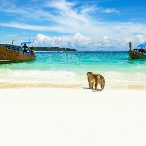 Phuket Honeymoon Package: Two Tickets to Tropical Bliss