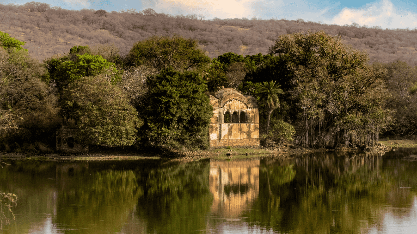 Rajasthan Trip Plan: 3 Nights 4 Days Jaipur and Ranthambore Family Tour