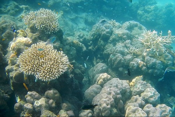 Romantic 6-Day Andaman Nicobar Package for Couple — photo 2