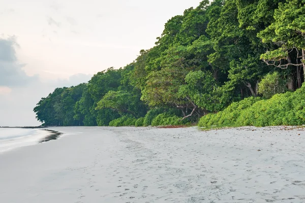 Romantic 6-Day Andaman Nicobar Package for Couple — photo 4