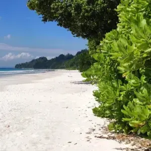 Romantic 6-Day Andaman Nicobar Package for Couple