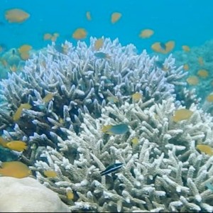 Romantic 6-Day Andaman Nicobar Package for Couple