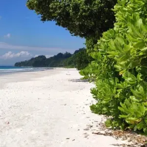 Romantic Andaman Trip Package for Couple: 5 Day Island Escape