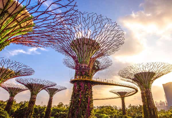 Romantic Bali Singapore Honeymoon Package: 10 Days of Love, Adventure & Memories