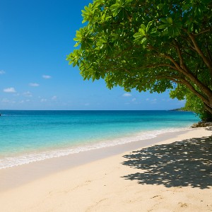 Romantic Getaway: Couple Bali Tour Package