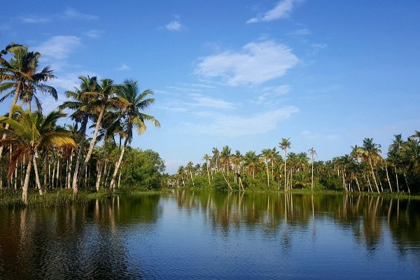 Romantic Kerala Honeymoon: 7 Days of Beaches, Backwaters, and Nature — photo 1