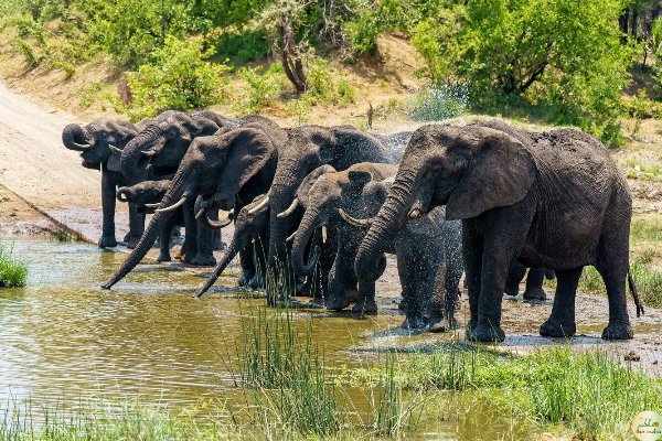 Romantic Kerala Honeymoon: 7 Days of Beaches, Backwaters, and Nature — photo 4