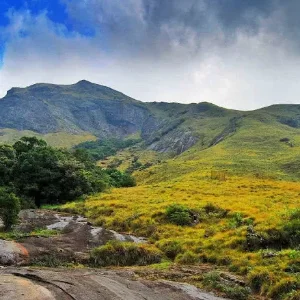 Romantic Kerala Honeymoon: 7 Days of Beaches, Backwaters, and Nature