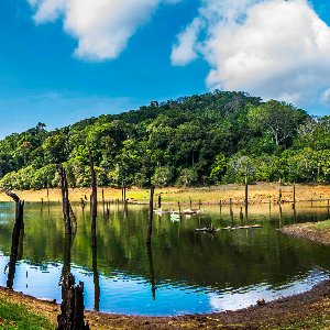 Romantic Kerala Honeymoon: 7 Days of Beaches, Backwaters, and Nature