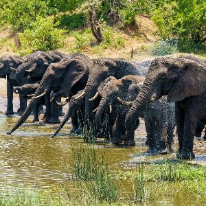 Romantic Kerala Honeymoon: 7 Days of Beaches, Backwaters, and Nature