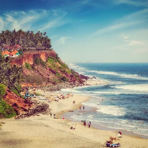 Romantic Kerala Honeymoon: 7 Days of Beaches, Backwaters, and Nature