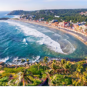 Romantic Kerala Honeymoon: 7 Days of Beaches, Backwaters, and Nature